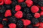 Berries