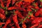 Hot peppers